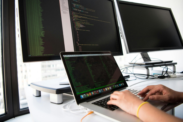 廣衛職院啟動“十萬青苗培育項目”:青柚苗