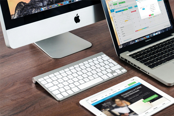 甘肅首屆青少年三大球運動會探選“苗”新路徑:青柚苗