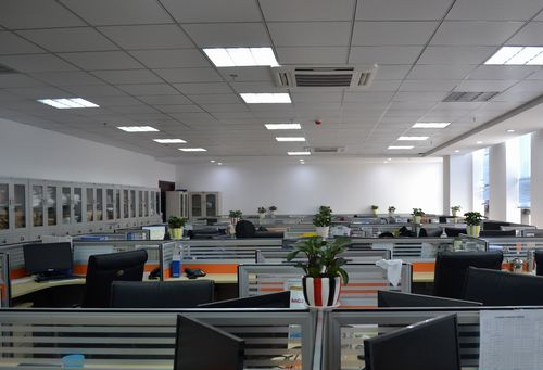 橙柚青胡巍受聘重慶岳池商會副秘書長 推動川渝數字貿易生態共建:青柚苗