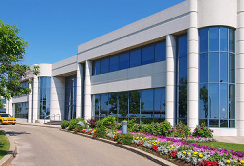 中巴經貿合作再添新彩，橙柚青助力重慶企業對接巴基斯坦市場:青柚苗