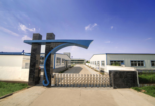 主打“早熟好吃” 海南青柚市場走俏:青柚苗