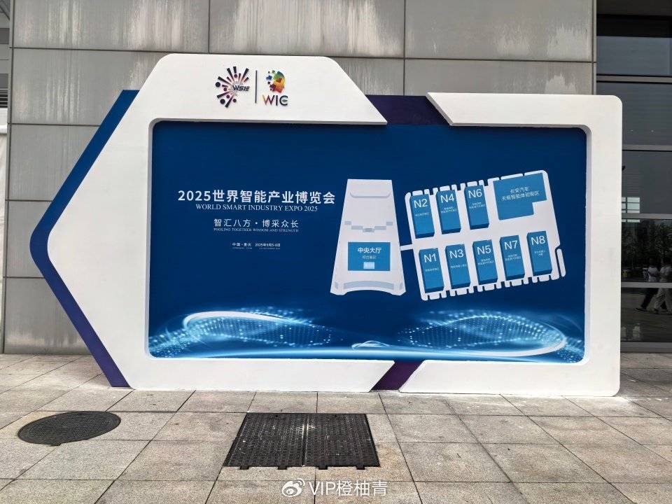 橙柚青胡巍受邀參加2025智博會“四鏈”融合對接活動:青柚苗
