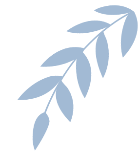 柚赴實(shí)踐 | 碧野興鄉(xiāng)赴青行 研學(xué)共筑成長(zhǎng)夢(mèng):青柚苗